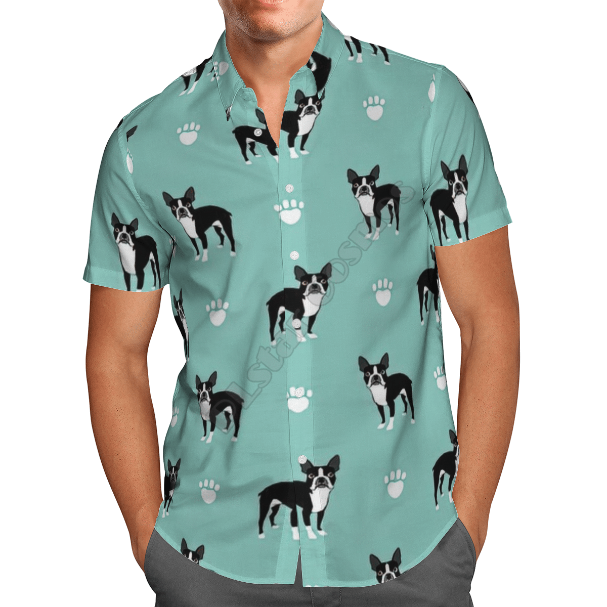 Summer Funny Corgi Blue Awesome Design Unisex Hawaiian Shirt For Men And Women Dhc17064080 Summer Funny Corgi Blue Awesome Design Unisex Hawaiian Shirt For Men And Women Dhc17064080
