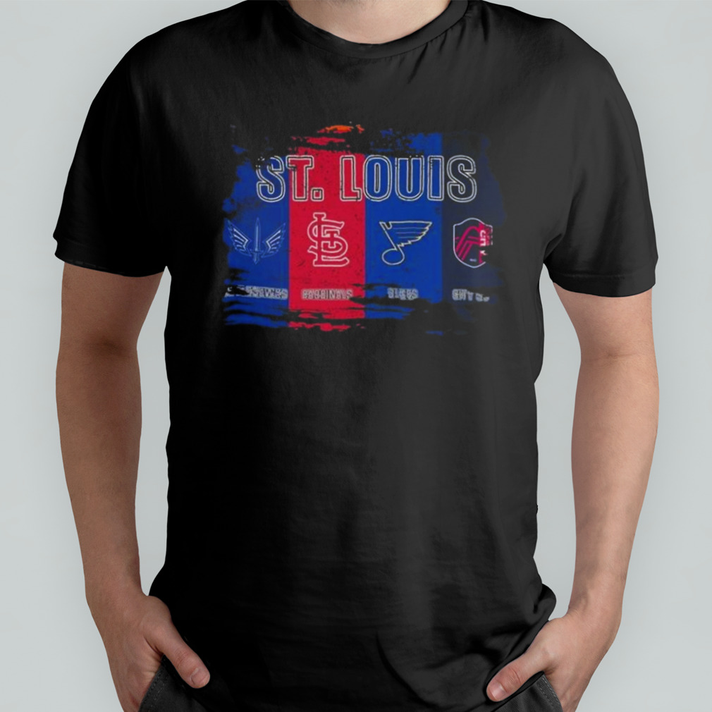 St. Louis Team Sports Champions Battlehawks Cardinals Blues And City SC 2023  Shirt in 2023