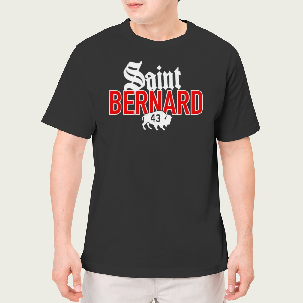 Saint bernard 43 shirt