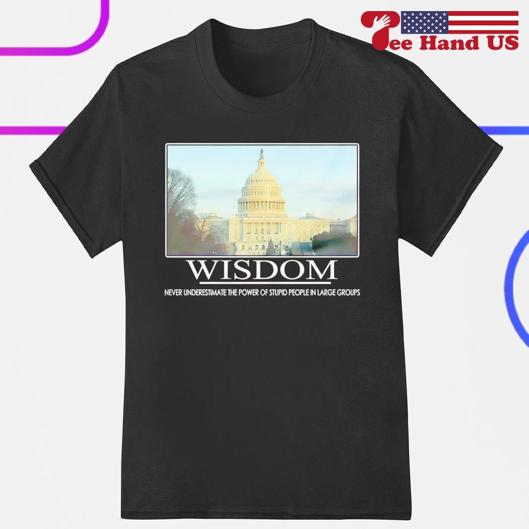 Wisdom never underestimate the power of stupid people in large group shirt