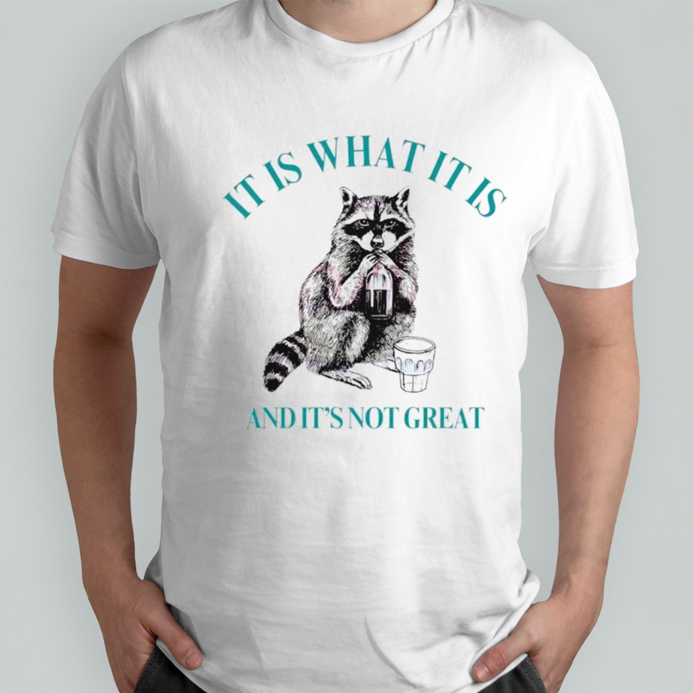 Raccoon it is what it is and it is not great classic shirt