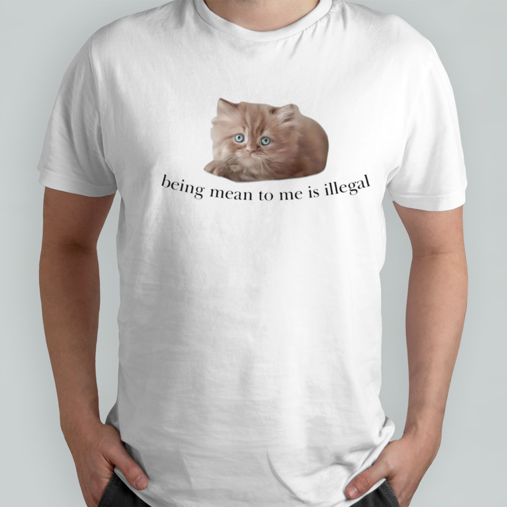 Cute cat being mean to me is illegal shirt