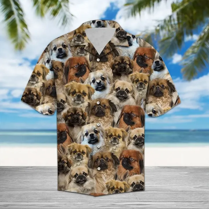 Tibetan Spaniel Tan Best Hawaiian Shirt Hw5642