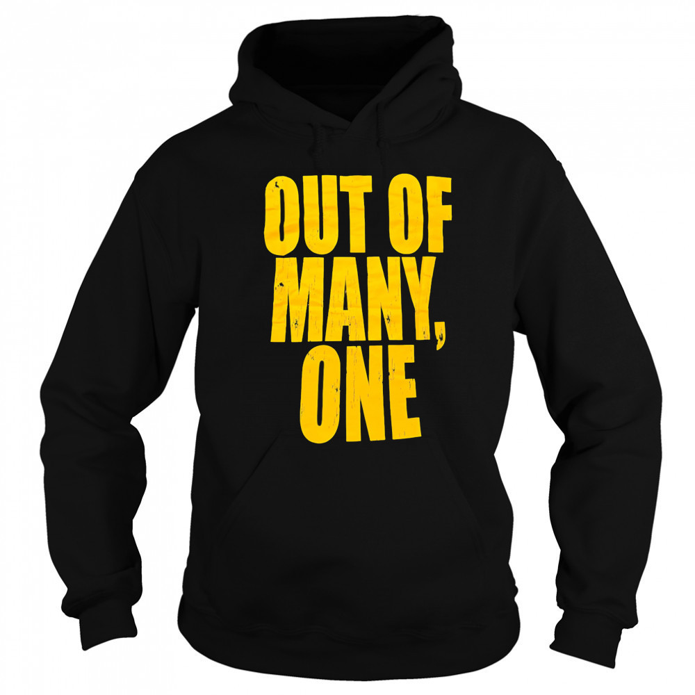 Out of many one shirt Hoodie
