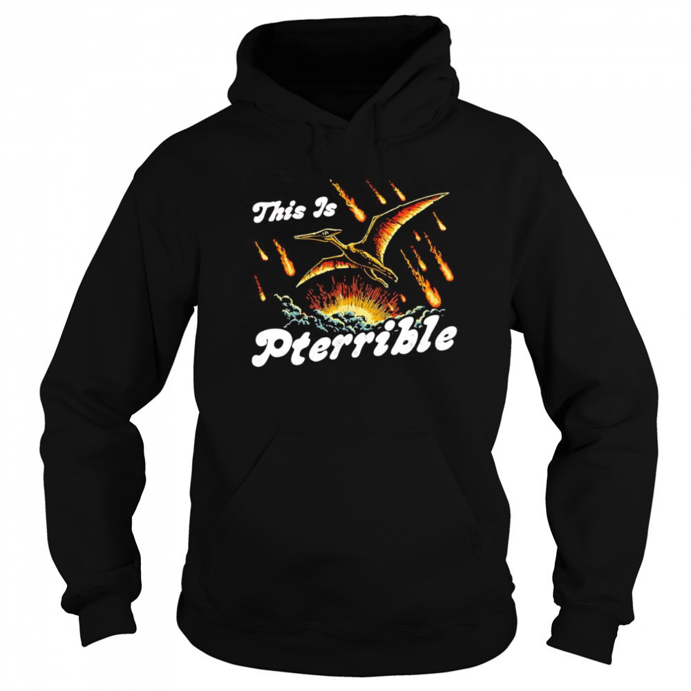 This is Pterrible shirt Hoodie