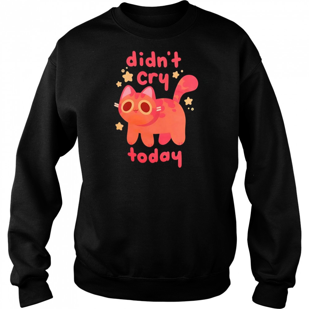 Didn’t Cry Today Cat shirt Sweatshirt