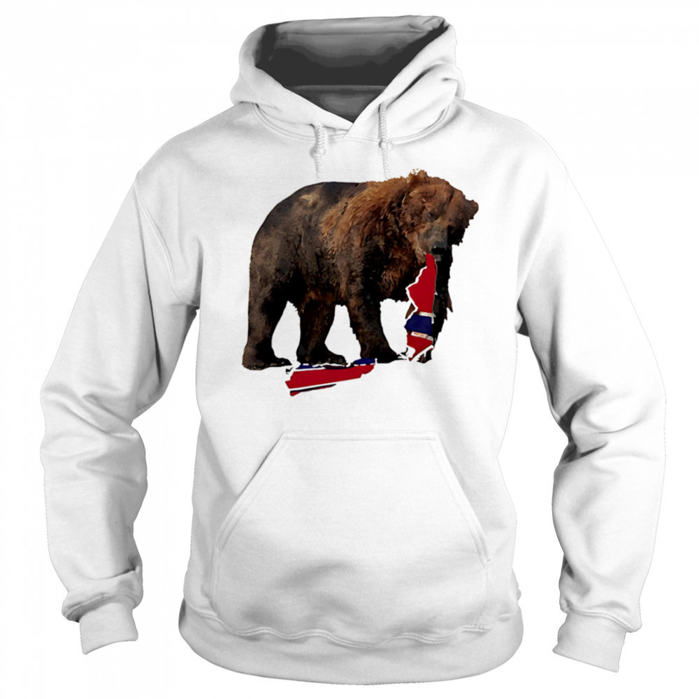 Awesome Bear Bruin Hockey Boston shirt Hoodie