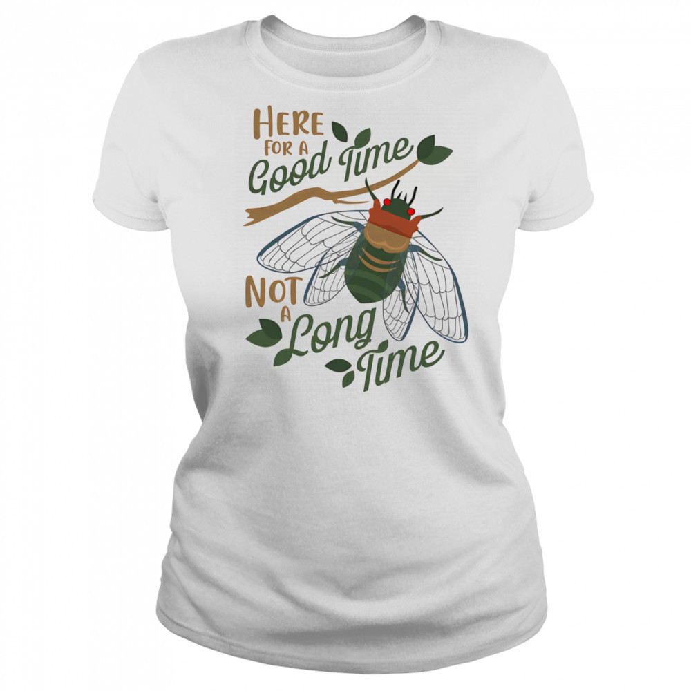 Cicadas here for a good time not a long time shirt Women's T-shirt