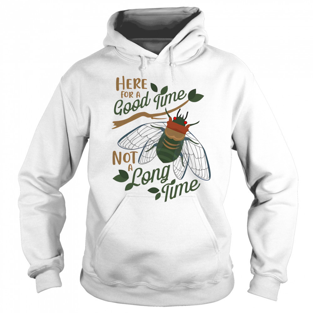 Cicadas here for a good time not a long time shirt Hoodie