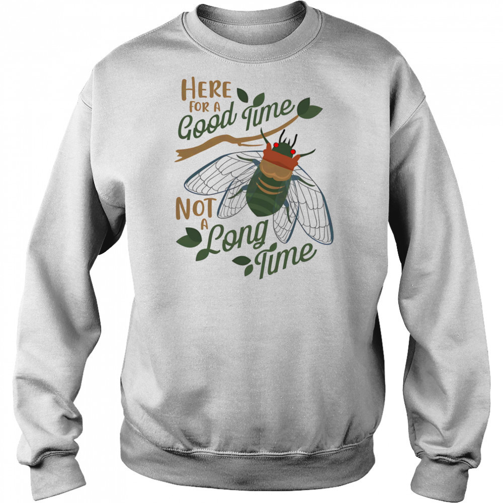 Cicadas here for a good time not a long time shirt Sweatshirt