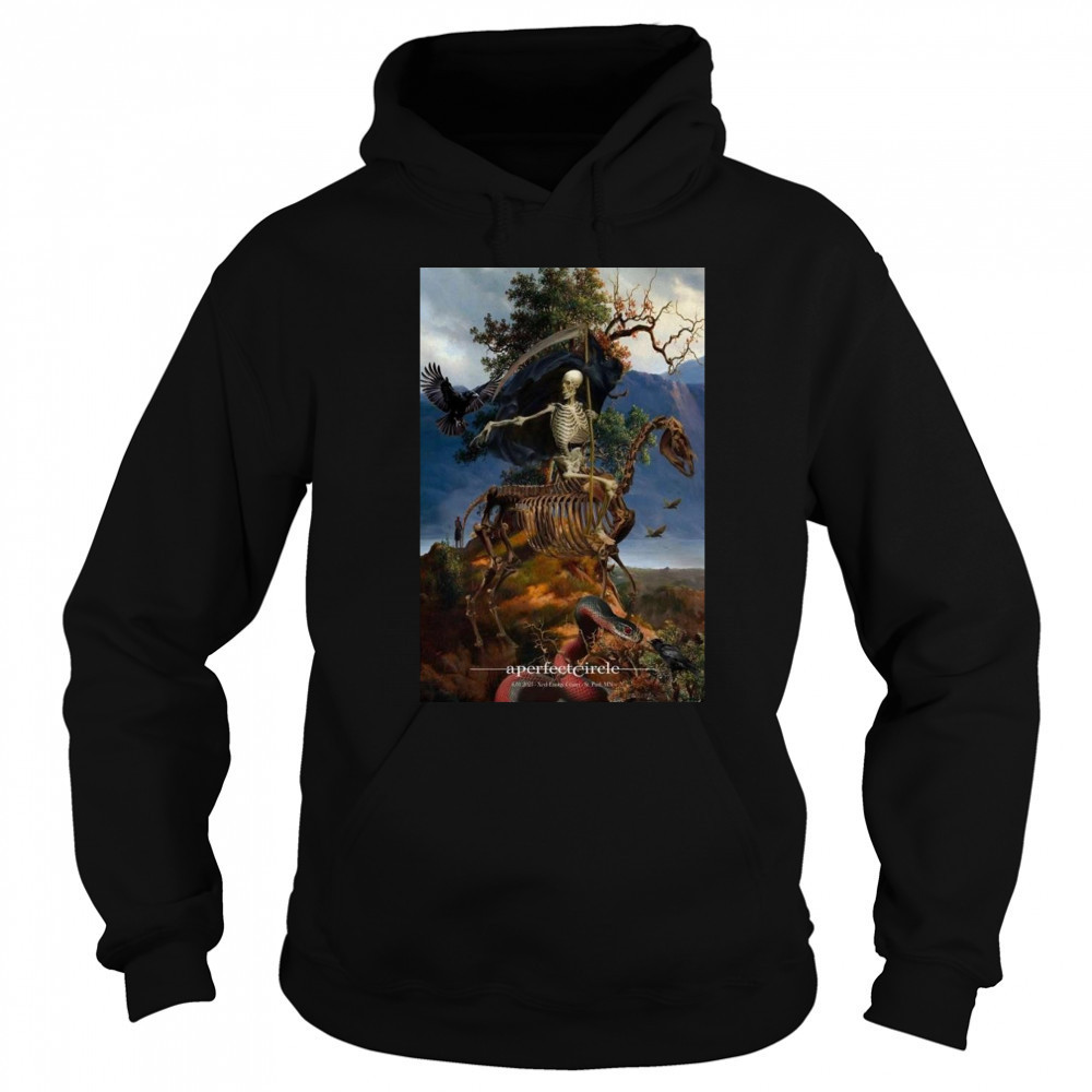 A Perfect Circle Xcel Energy Center Saint Paul MN June 1 2025 Shirt Hoodie