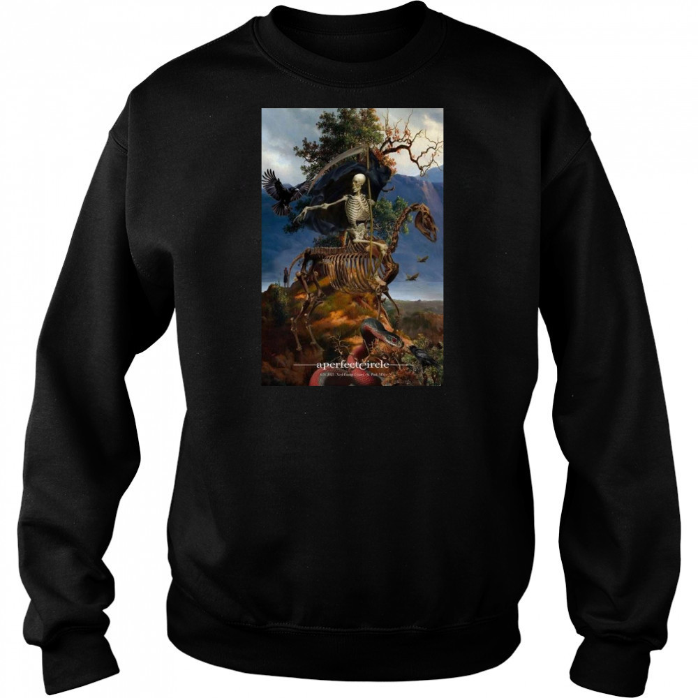 A Perfect Circle Xcel Energy Center Saint Paul MN June 1 2025 Shirt Sweatshirt