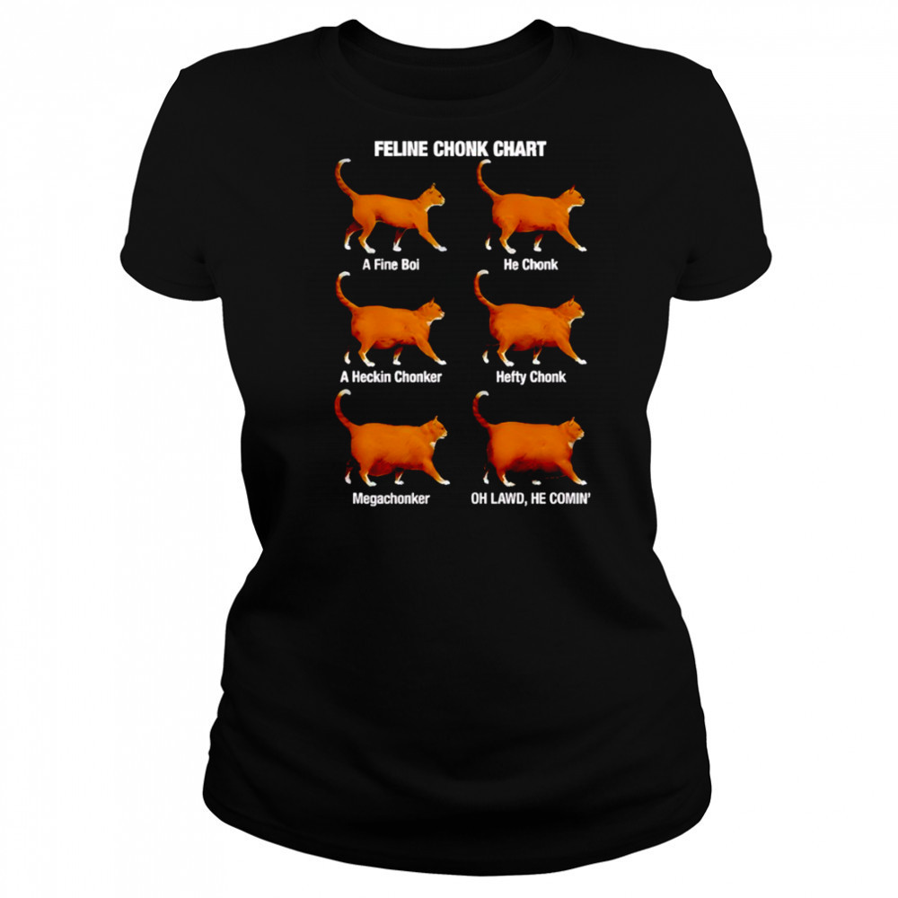Cats feline chonk chart a fine boi he chonk shirt Women's T-shirt