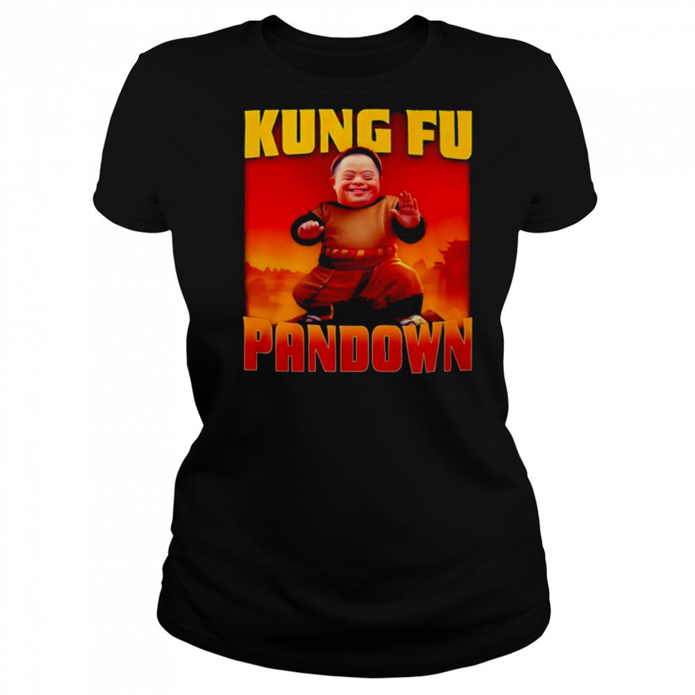 Kung Fu Pandown shirt Women's T-shirt