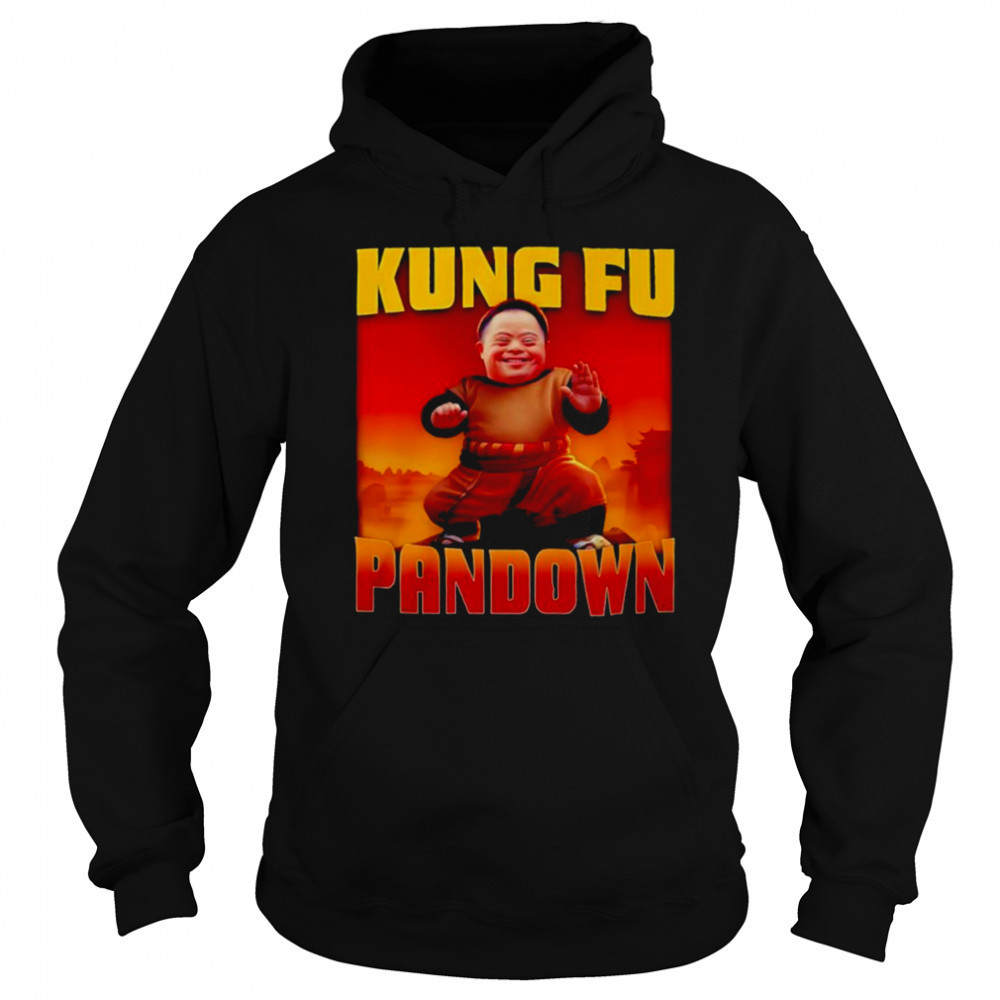 Kung Fu Pandown shirt Hoodie