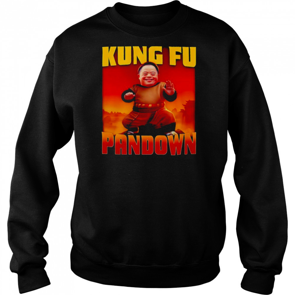 Kung Fu Pandown shirt Sweatshirt