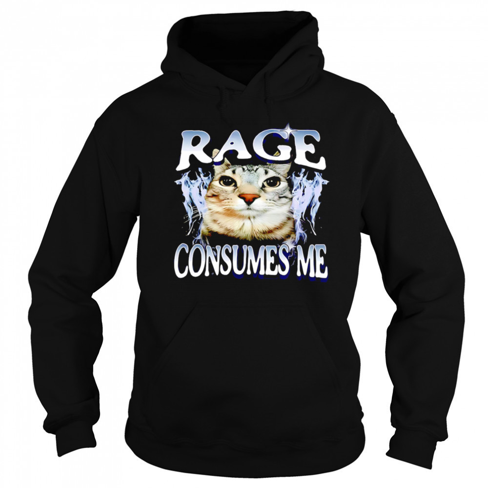 Rage Consumes Me Cat meme shirt Hoodie