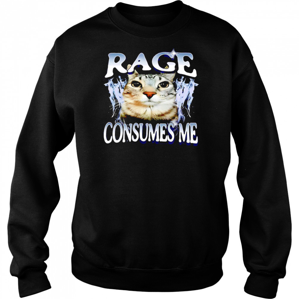 Rage Consumes Me Cat meme shirt Sweatshirt