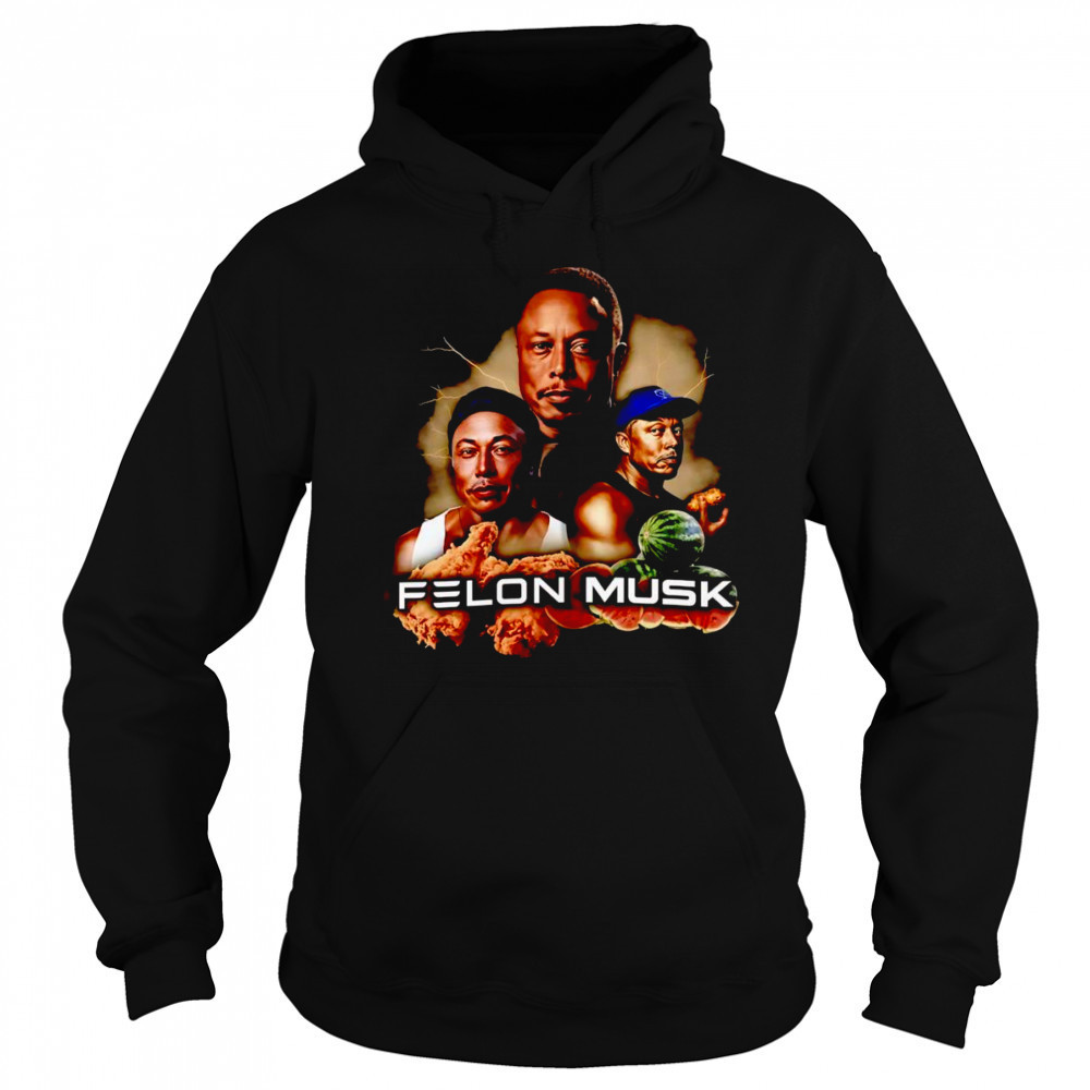 Felon Musk funny shirt Hoodie