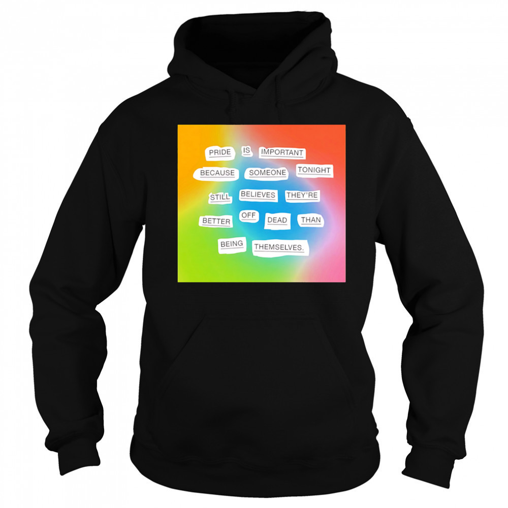 Importance of pride shirt Hoodie