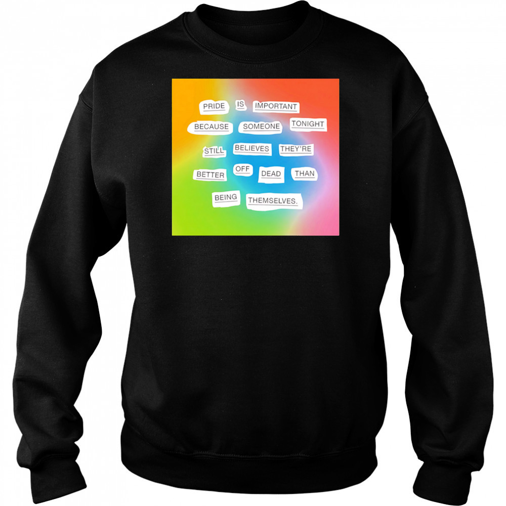 Importance of pride shirt Sweatshirt