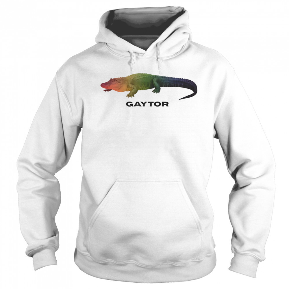 Gaytor LGBT shirt Hoodie