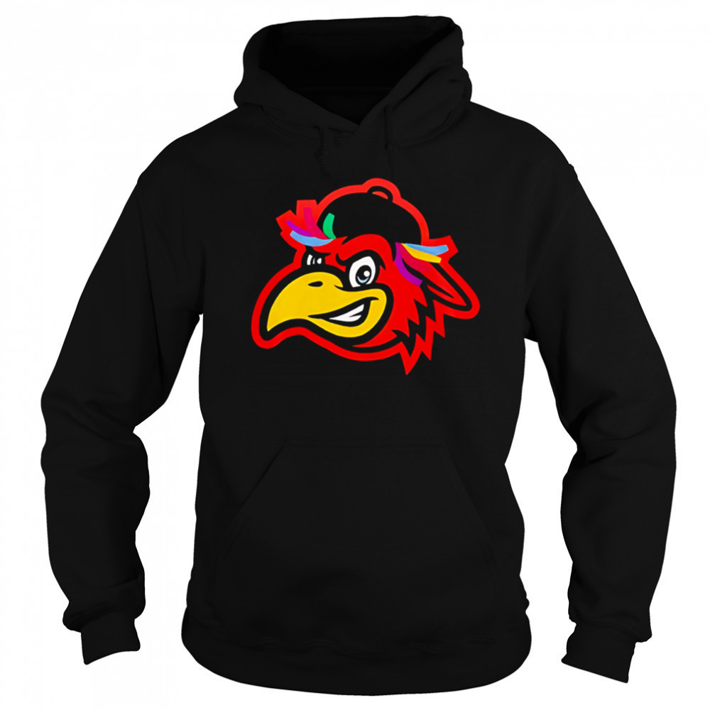 Delmarva Shorebirds x Spicer Bros 2025 Hockey shirt Hoodie