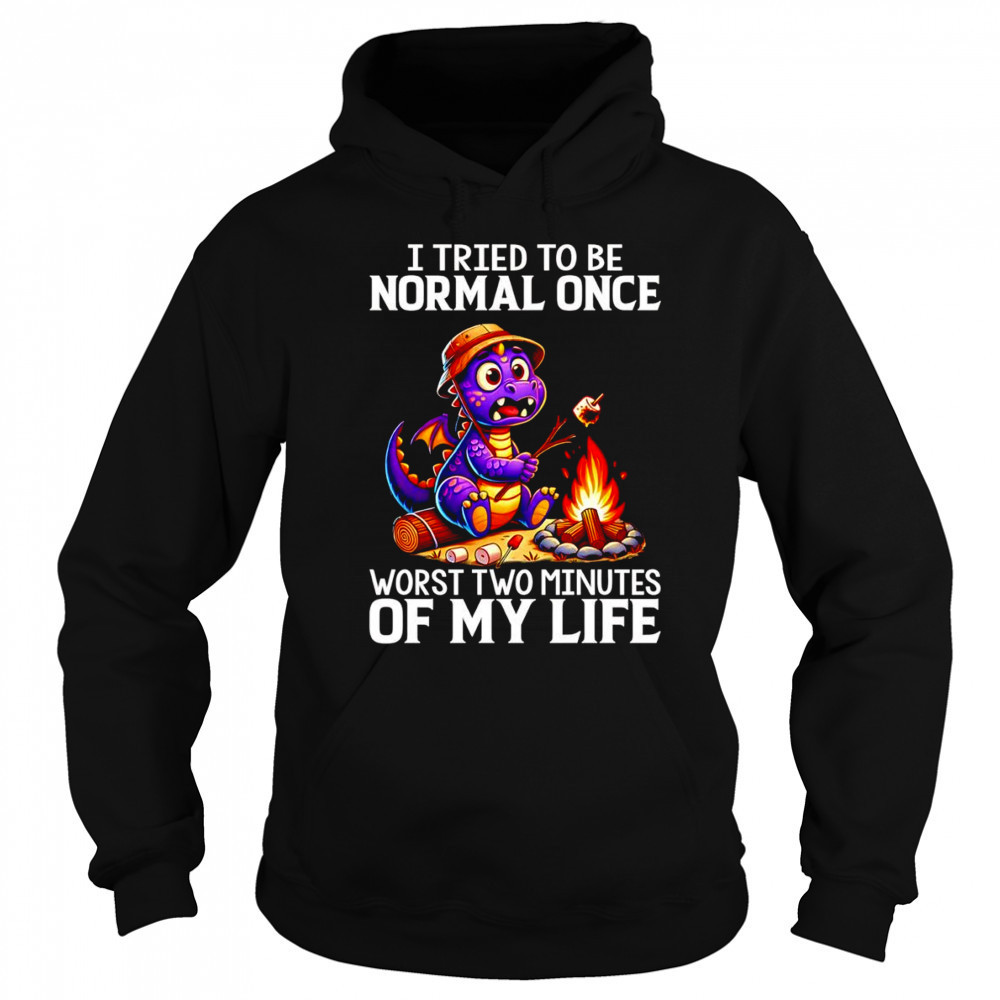 Dragon I tried to be normal once worst two minutes of my life shirt Hoodie