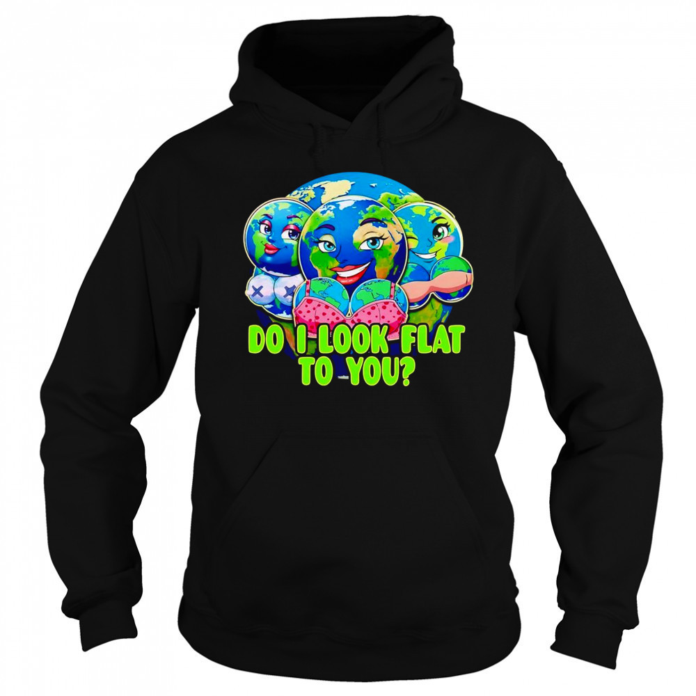 Do I look flat to you Earth shirt Hoodie