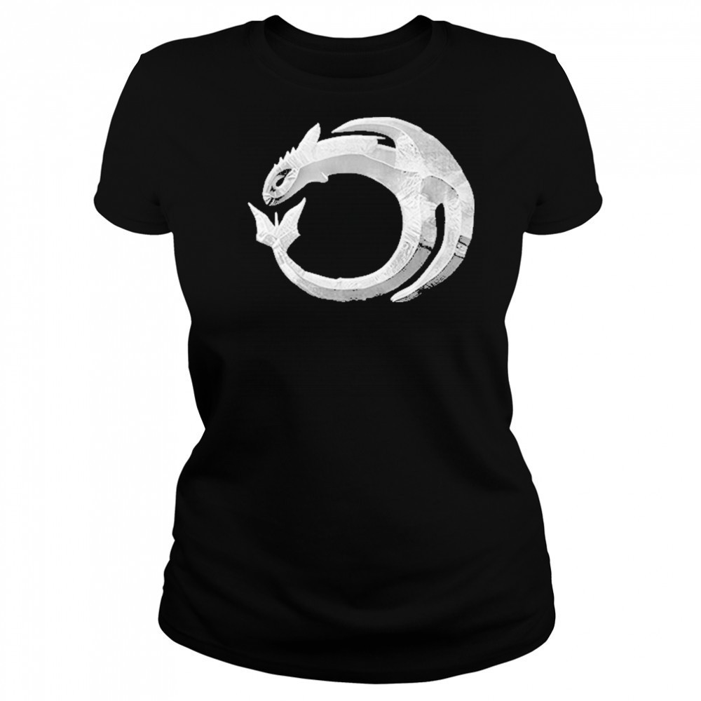 How to Train Your Dragon T-Shirt Women's T-shirt