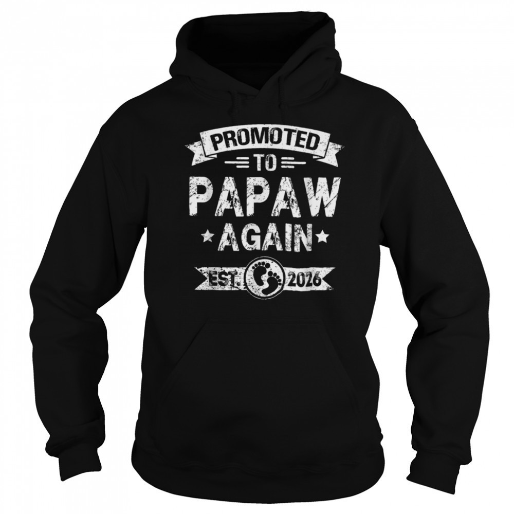 Expecting New Dad Promoted To Papaw Again est. 2026 T Shirt Hoodie