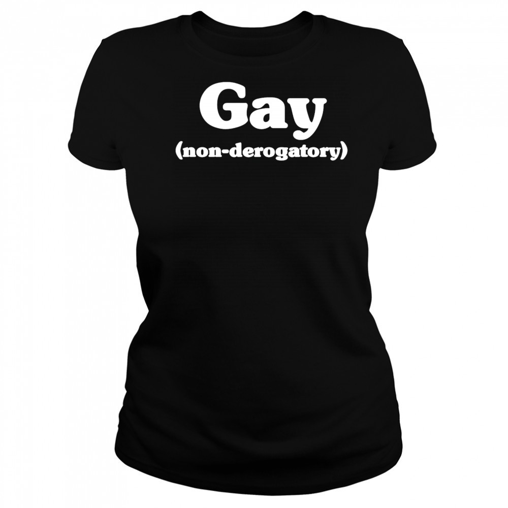 Gay non derogatory shirt Women's T-shirt