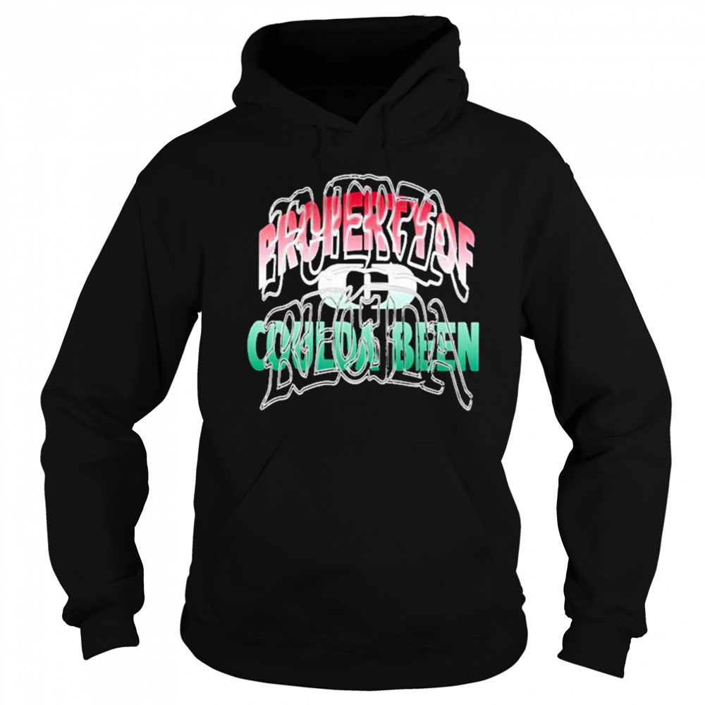 Fuerza Regida x Coulda Been Records 2025 T-Shirt Hoodie