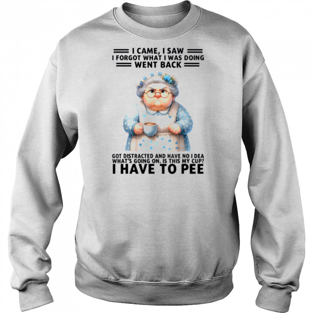 I Came I Saw I’m Forgot What I Was Doing Went Back Got T Shirt Sweatshirt