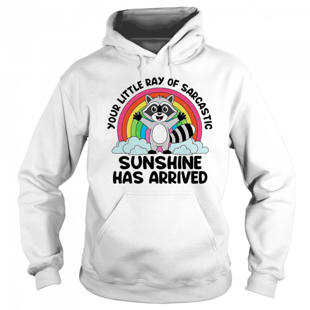 Raccoon your little ray of sarcastic sunshine has arrived shirt Hoodie