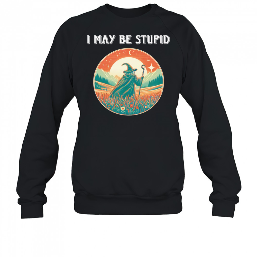 I May Be Stupid Wizard shirt Hoodie