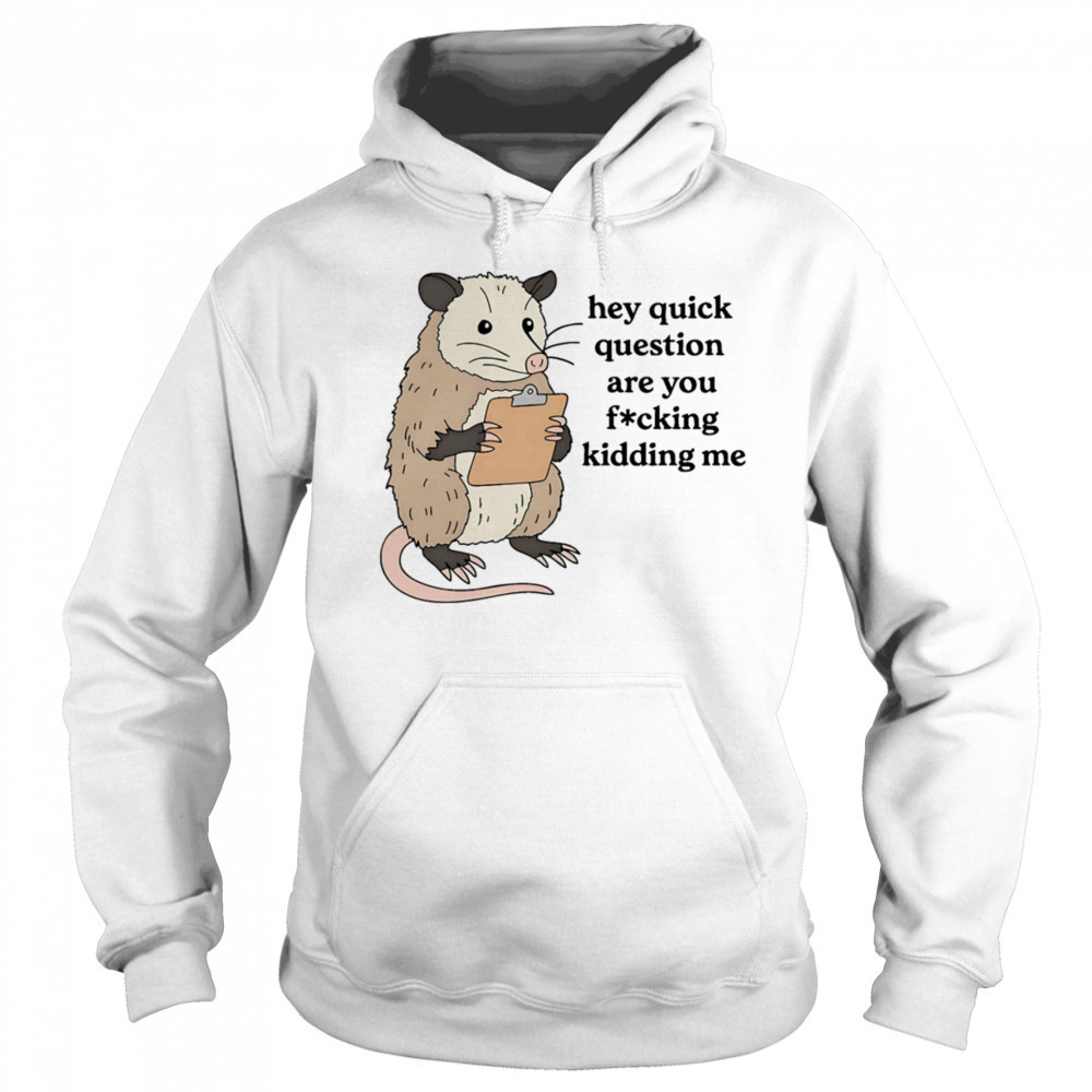 Opossum hey quick question are you fucking kidding me shirt Hoodie