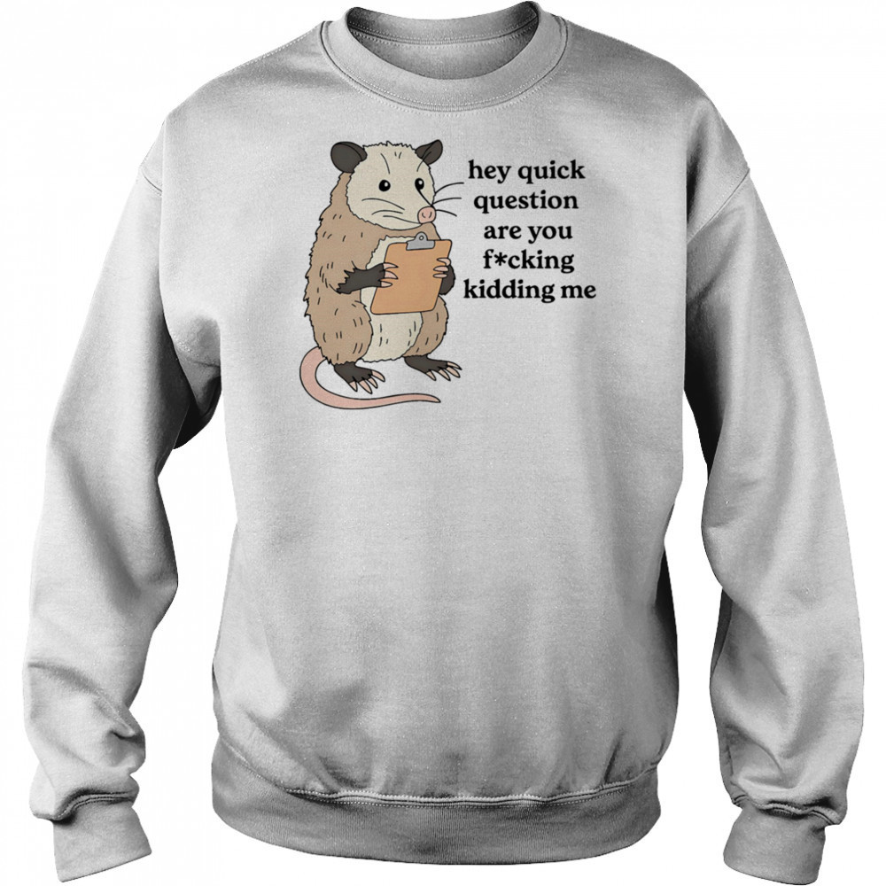 Opossum hey quick question are you fucking kidding me shirt Sweatshirt