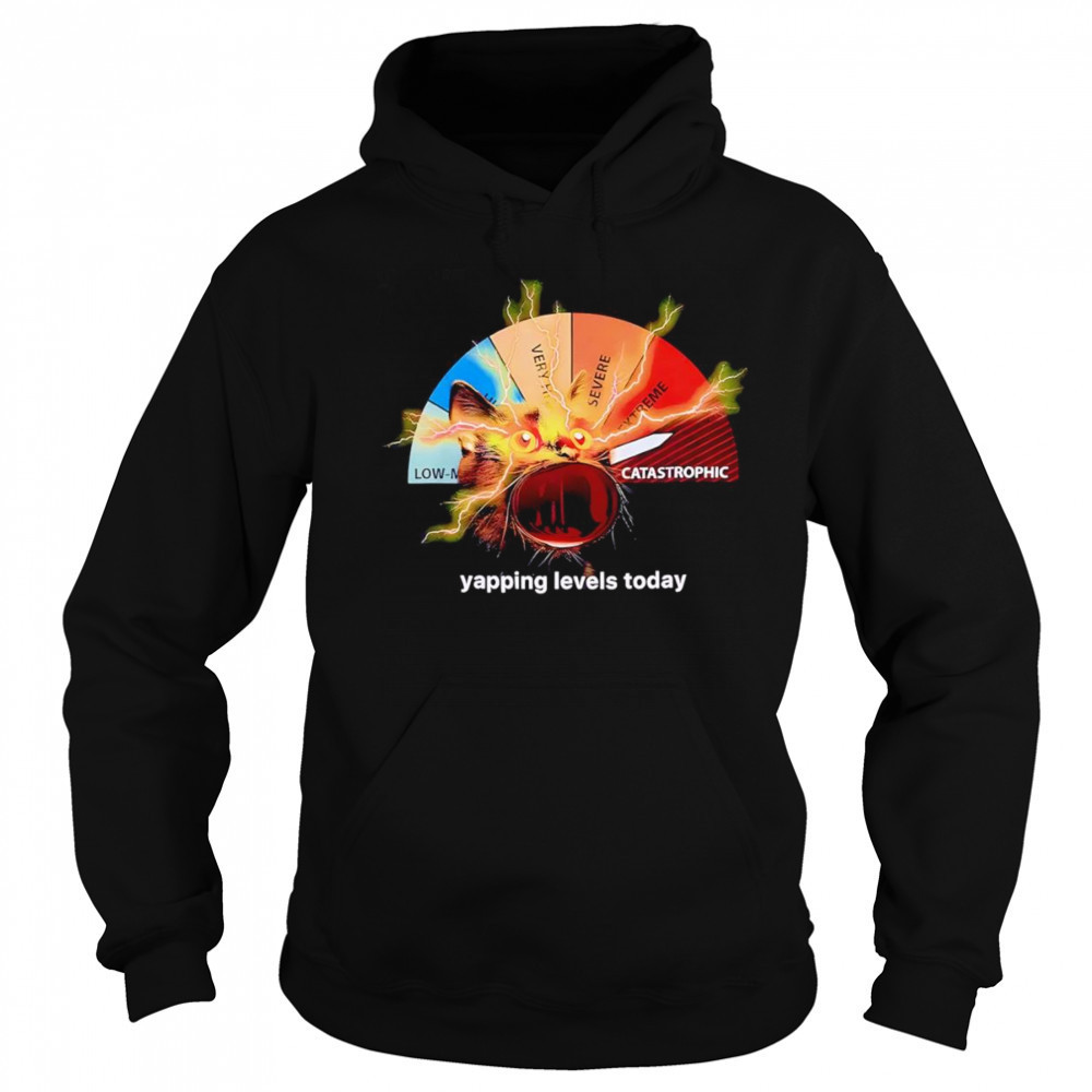 Yapping levels cat shirt Hoodie