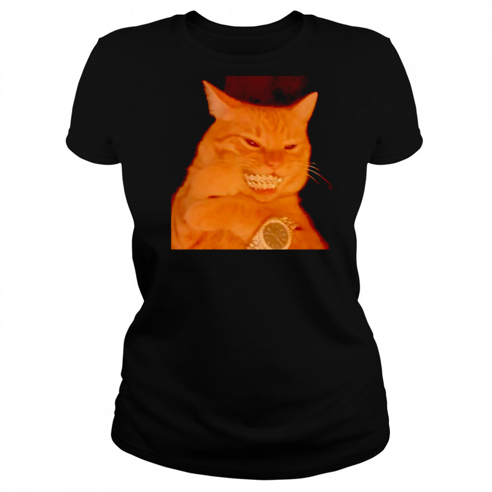 Bust Down cat shirt Women's T-shirt