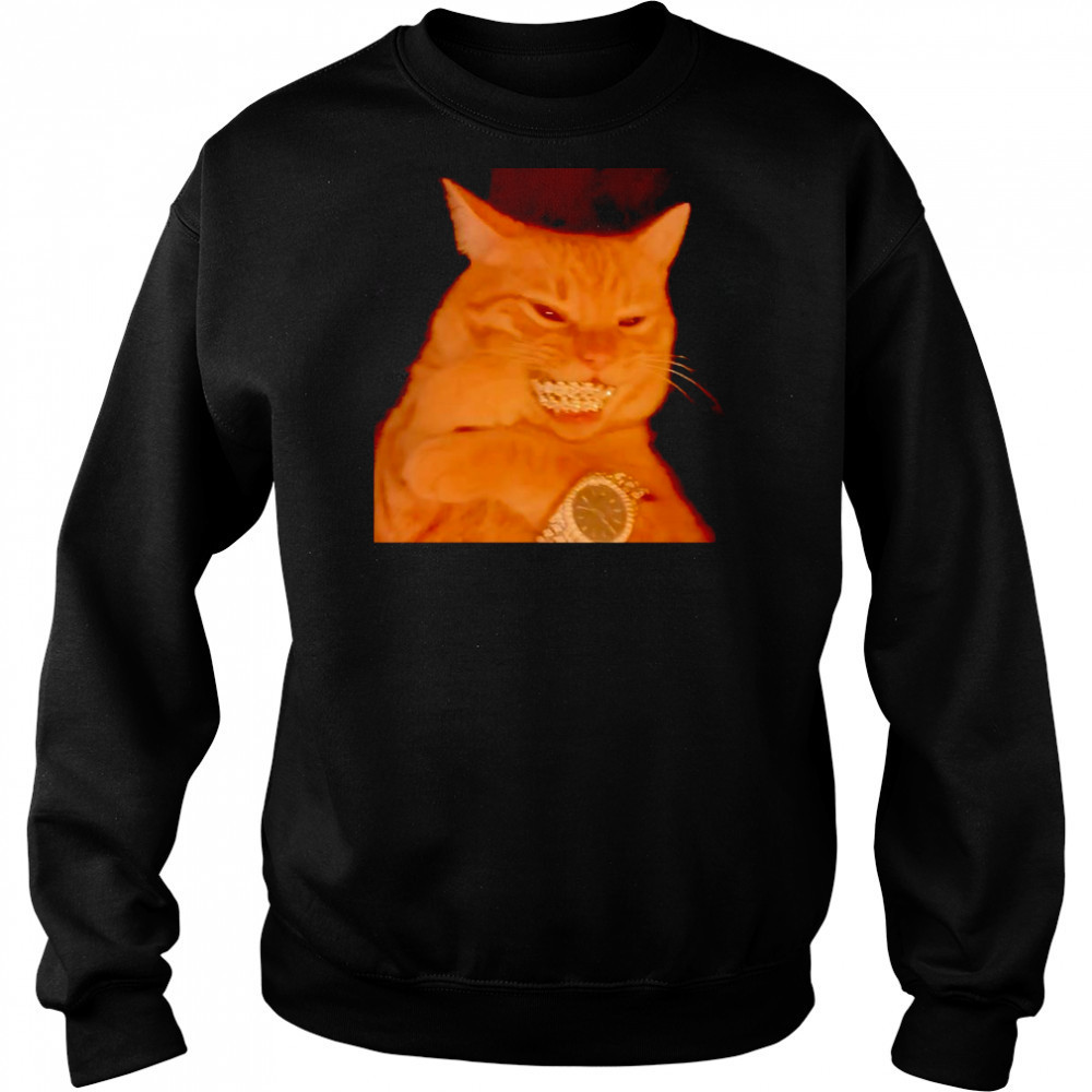 Bust Down cat shirt Sweatshirt