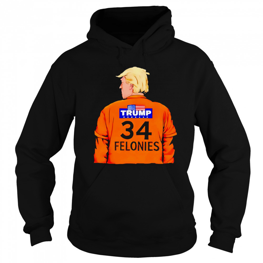 Trump 34 Felonies shirt Hoodie