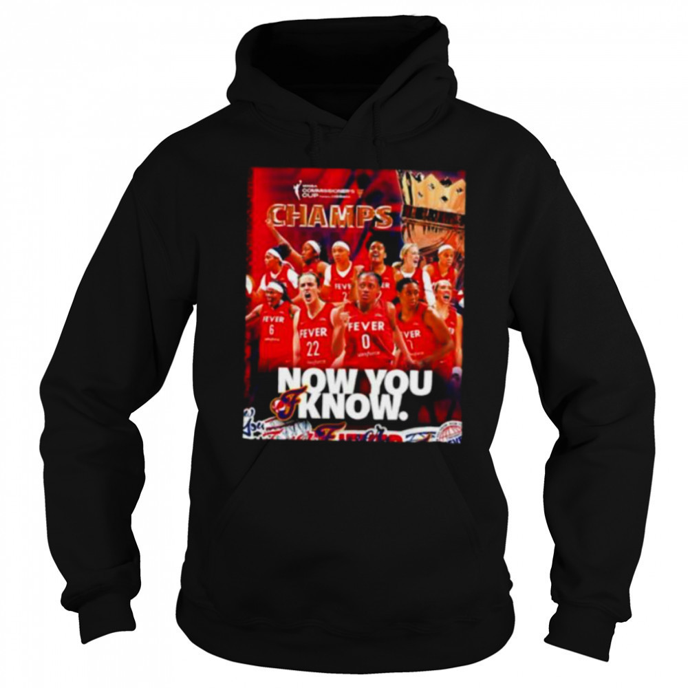 Indiana Fever 2025 WNBA Commissioner’s Cup Champs now you know shirt Hoodie