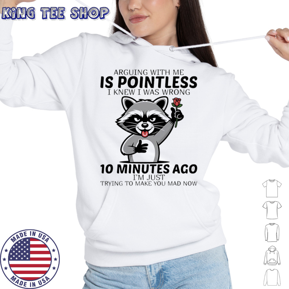 Raccoon arguing with me is pointless I knew I was wrong 10 minutes ago shirt Hoodie
