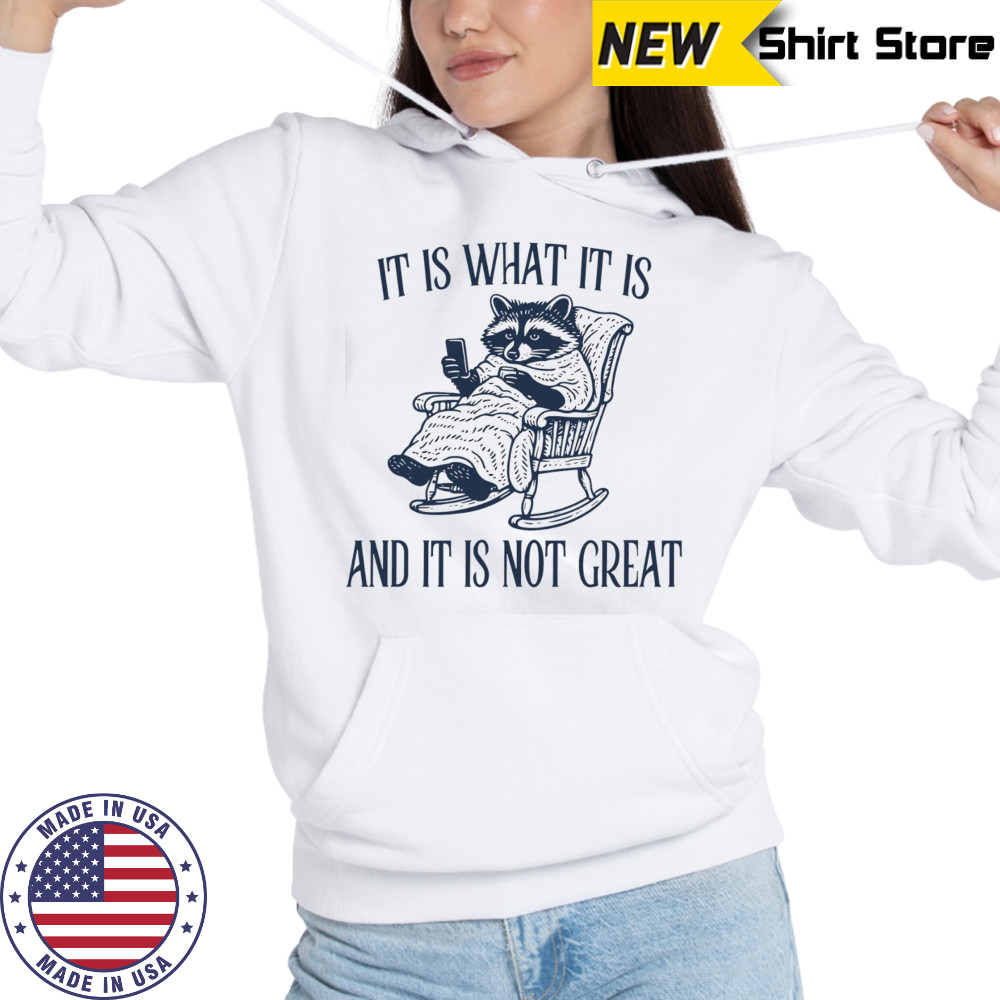 Raccoon it is what it is and it is not great shirt Hoodie