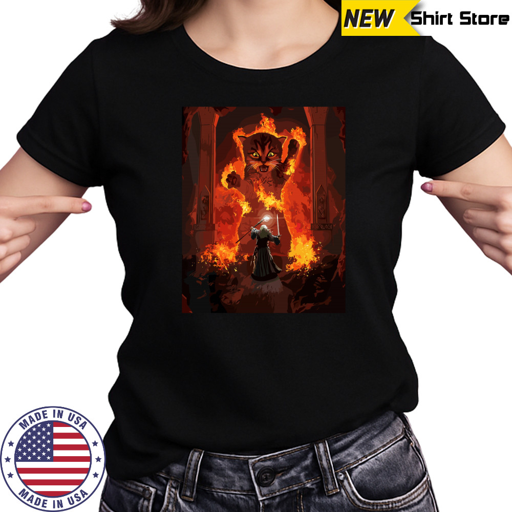 The Mountain Cat Gandalf You Shall Not Pass Fire Kitten T-shirt Ladies T-shirt