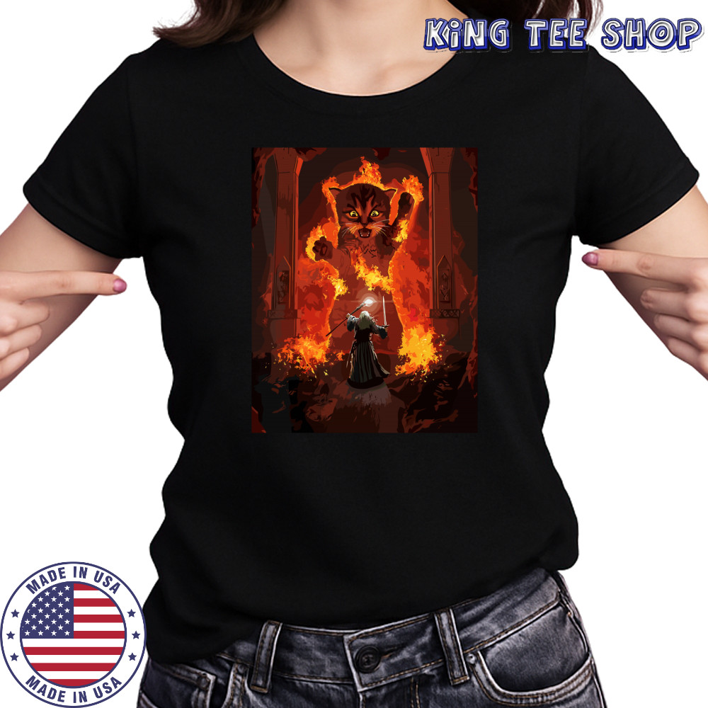 The Mountain Cat Gandalf You Shall Not Pass Fire Kitten T-shirt Women's T-shirt
