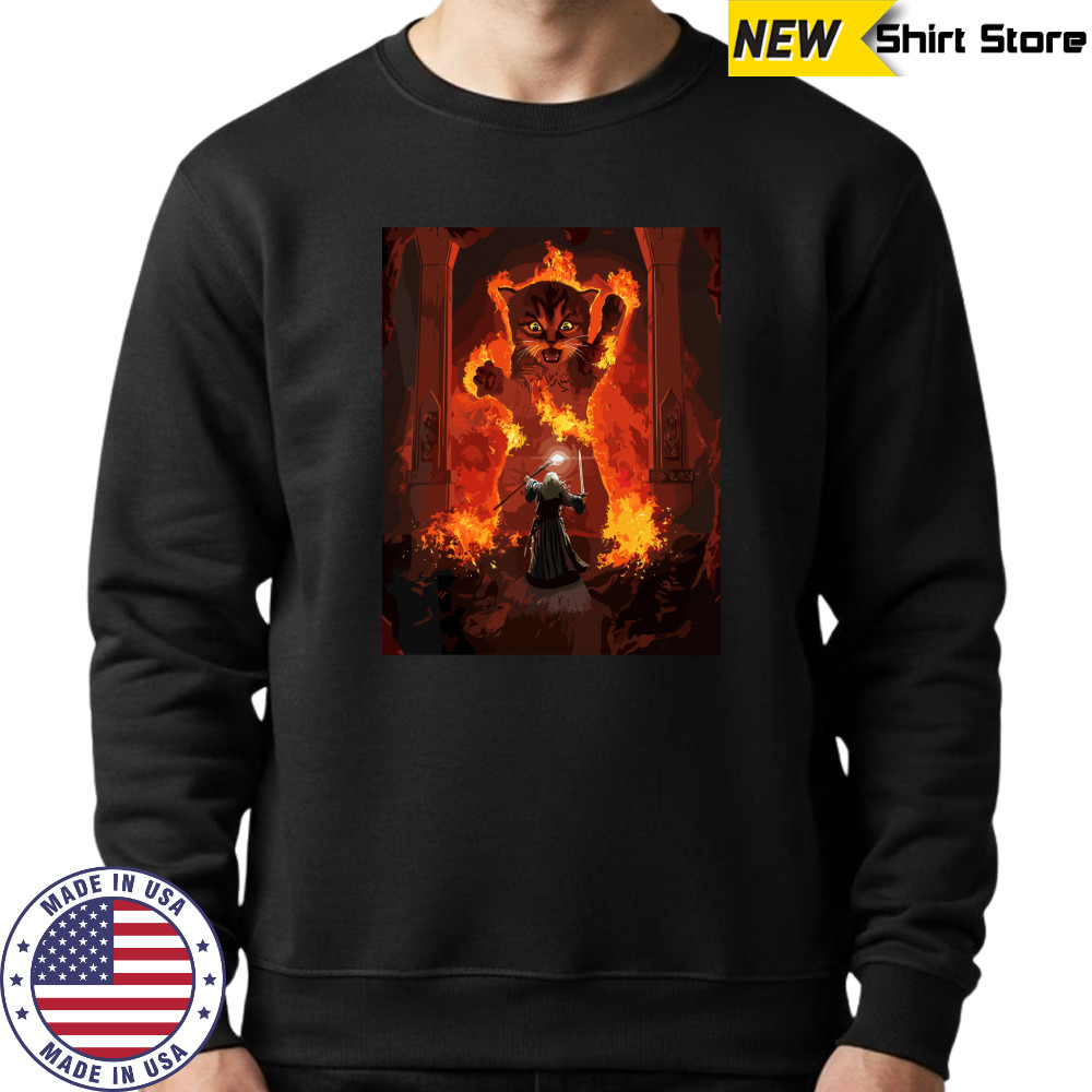 The Mountain Cat Gandalf You Shall Not Pass Fire Kitten T-shirt Sweatshirt