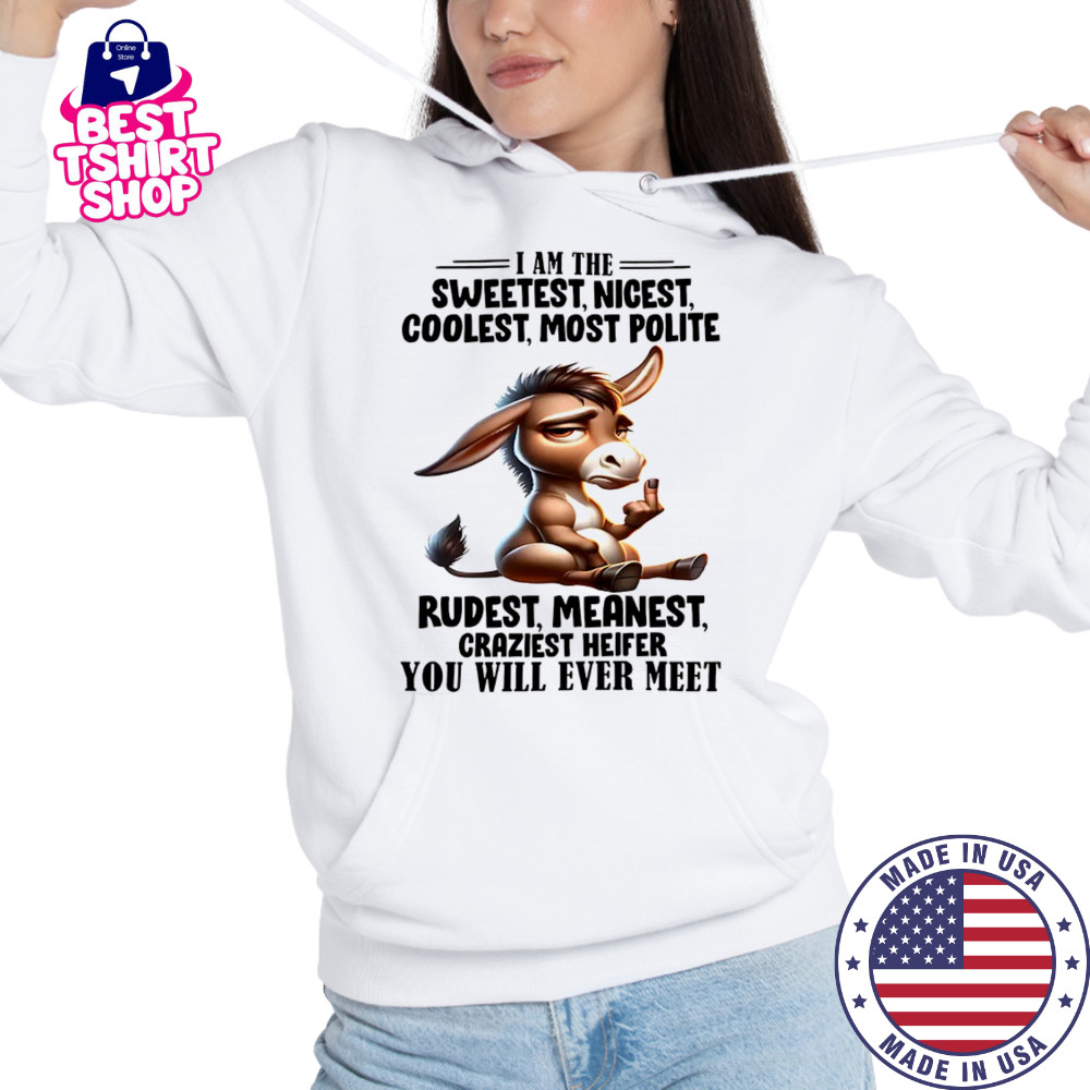 Donkey I am the sweetest nicest coolest most polite rudest shirt Hoodie