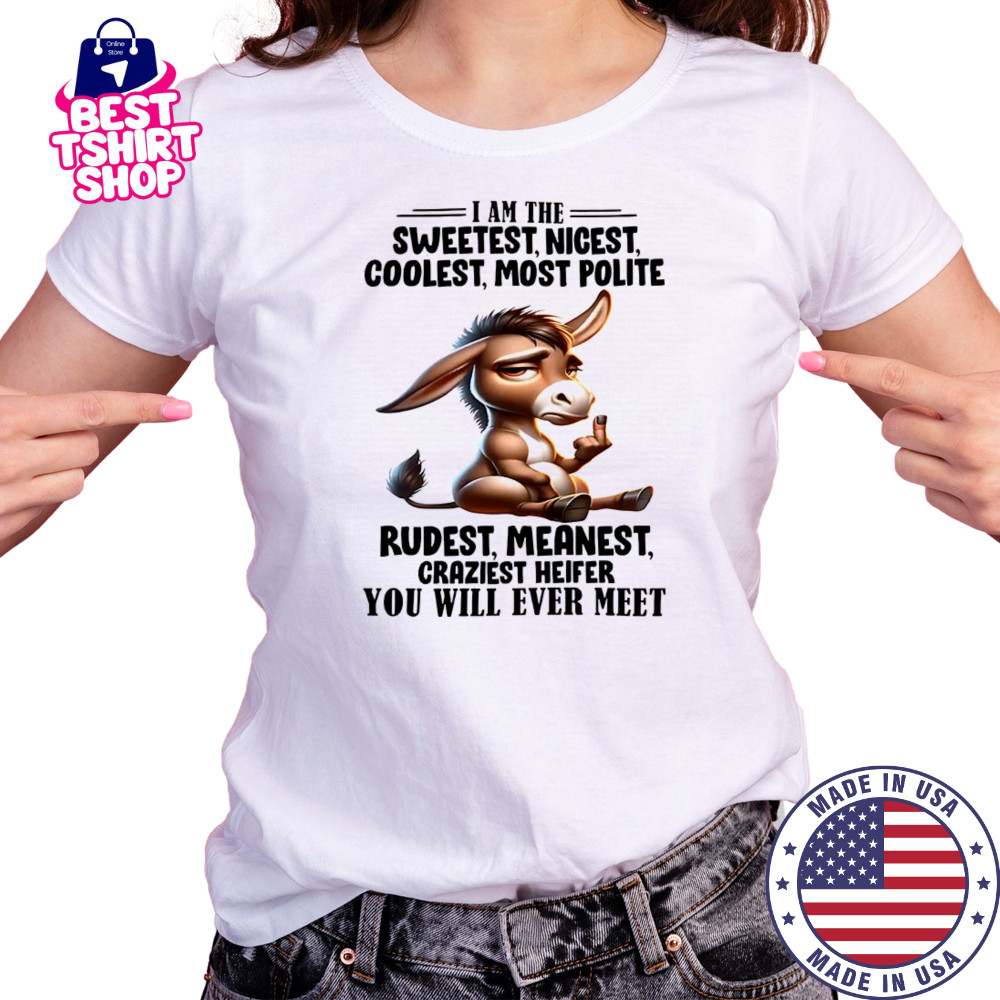 Donkey I am the sweetest nicest coolest most polite rudest shirt Women's T-shirt